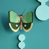 Fern Striped Butterfly